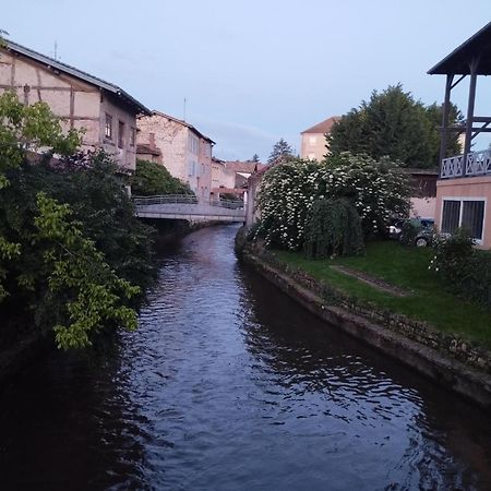 La Maison De Marie, Cosy Et Spacieuse - 3 Chambres Dont Une Climatisee Châtillon-sur-Chalaronne エクステリア 写真